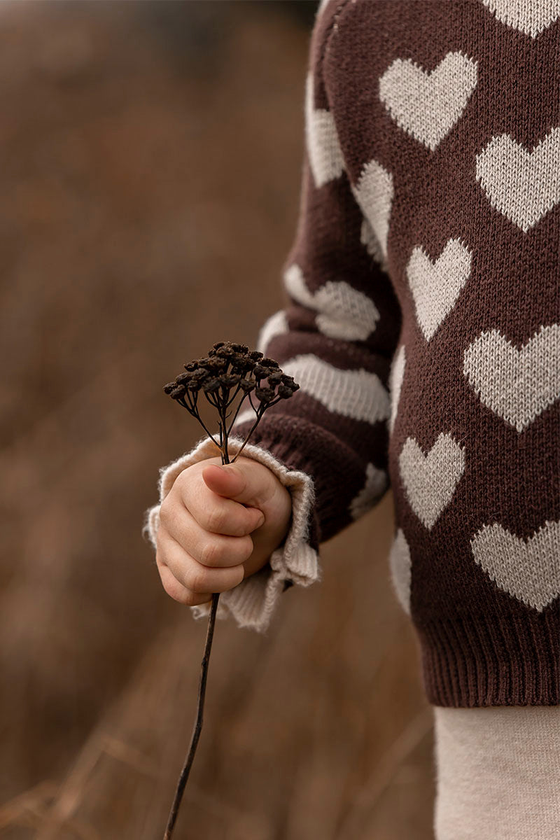 Fliink - Janie pullover - Chicory coffee