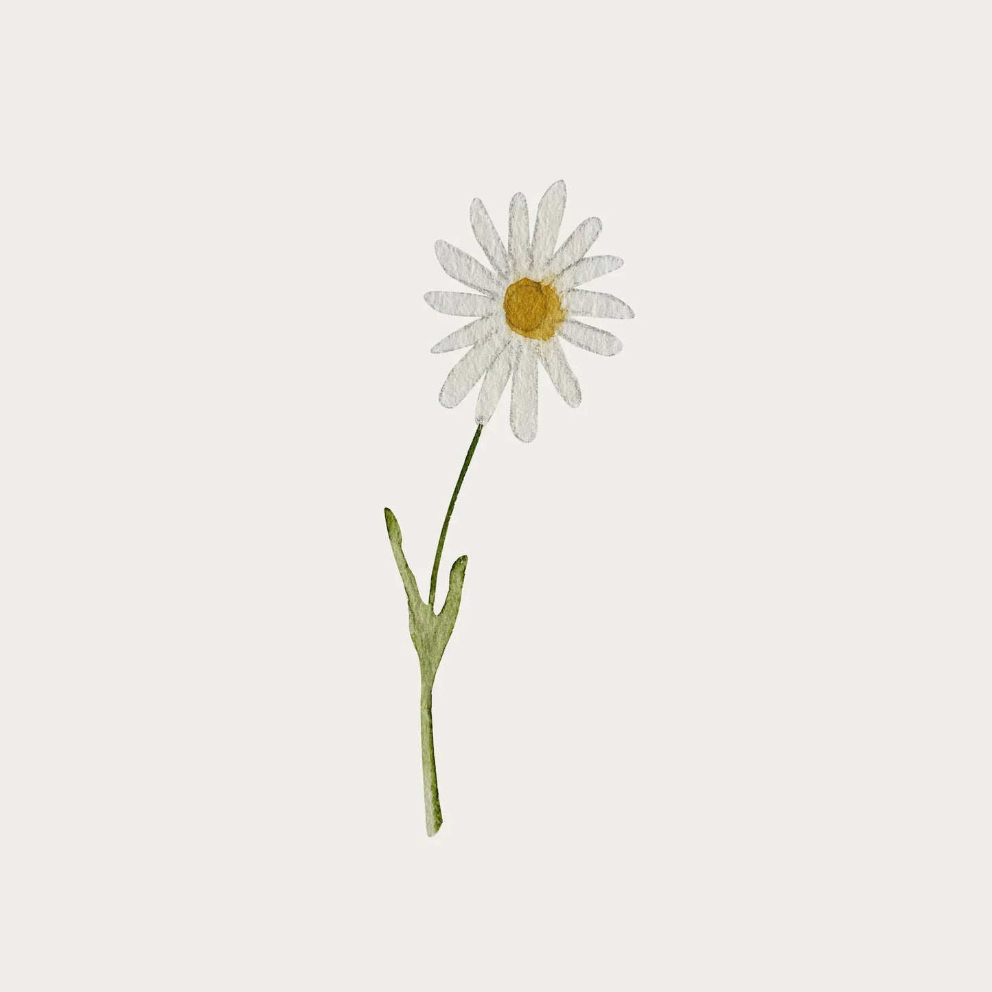 Atlas & August - Wallsticker - Blomst 1