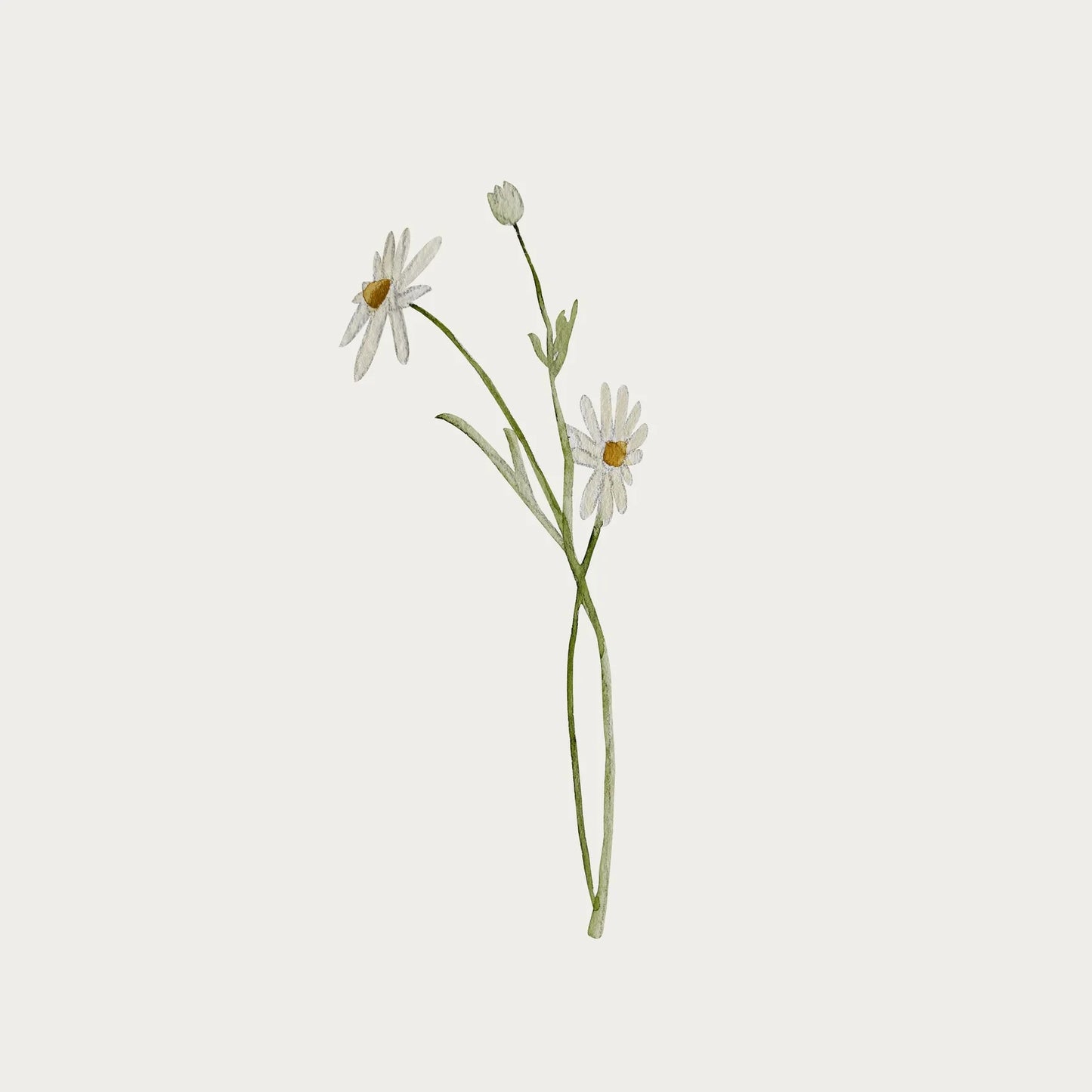 Atlas & August - Wallsticker - Blomst 2