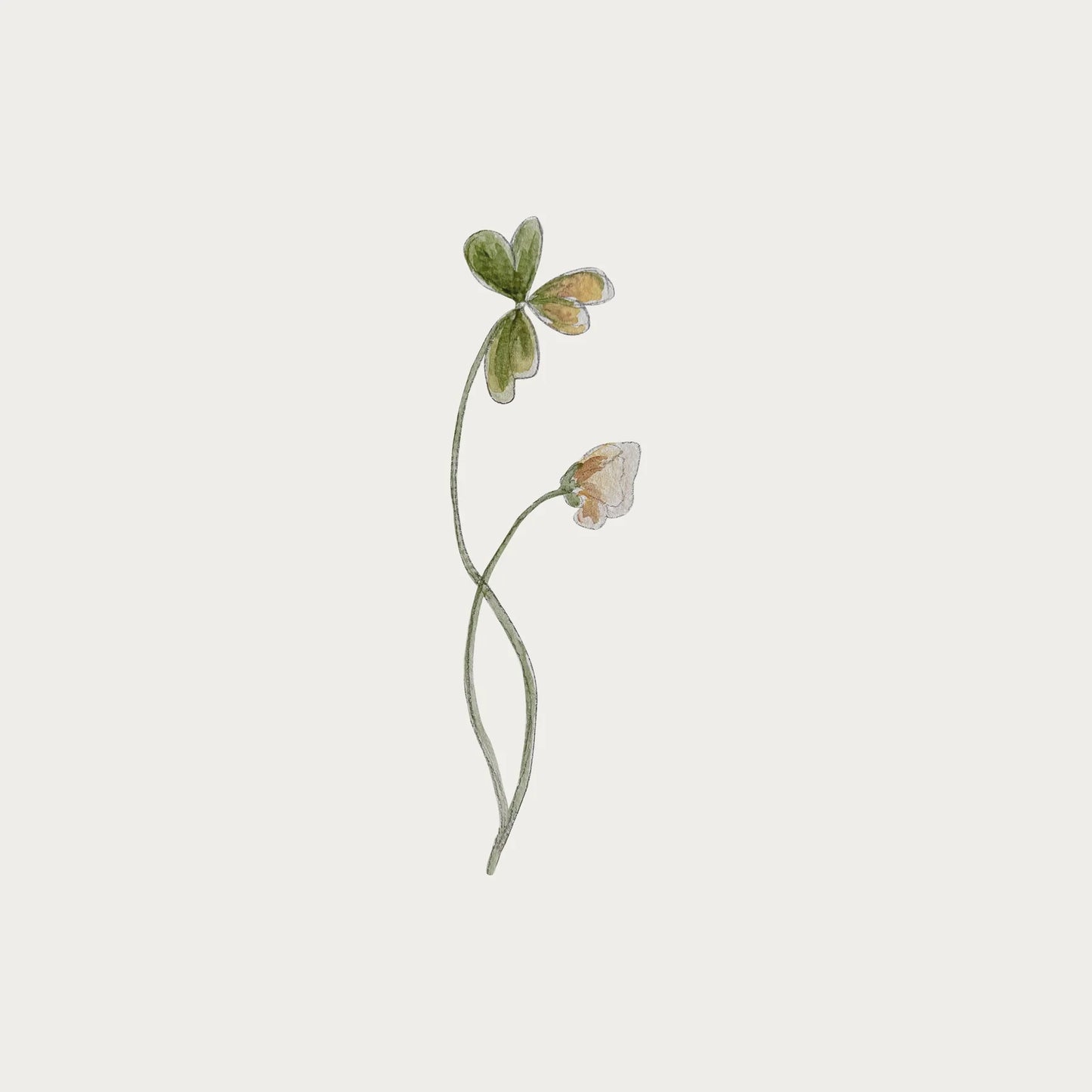 Atlas & August - Wallsticker - Blomst 3