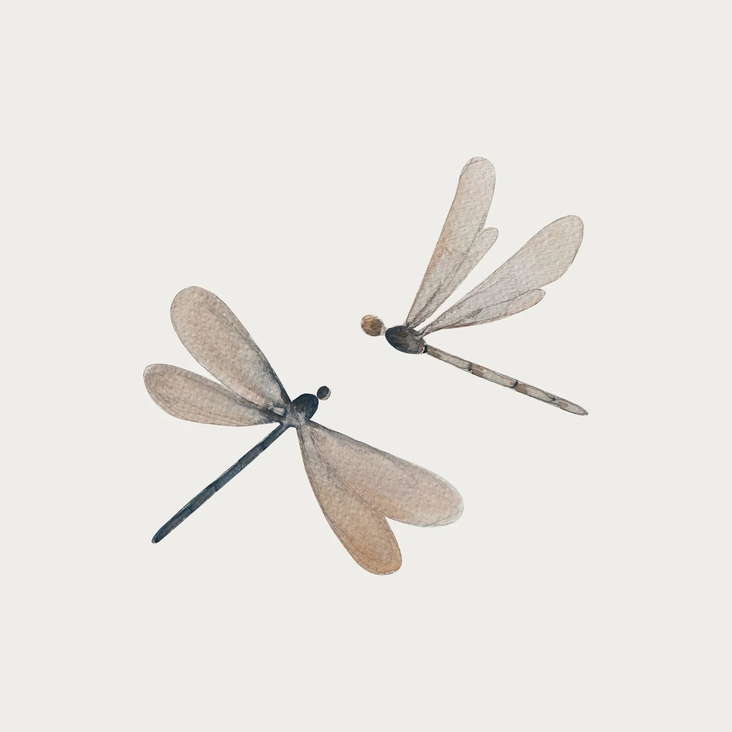 Atlas & August - Wallsticker - Guldsmed