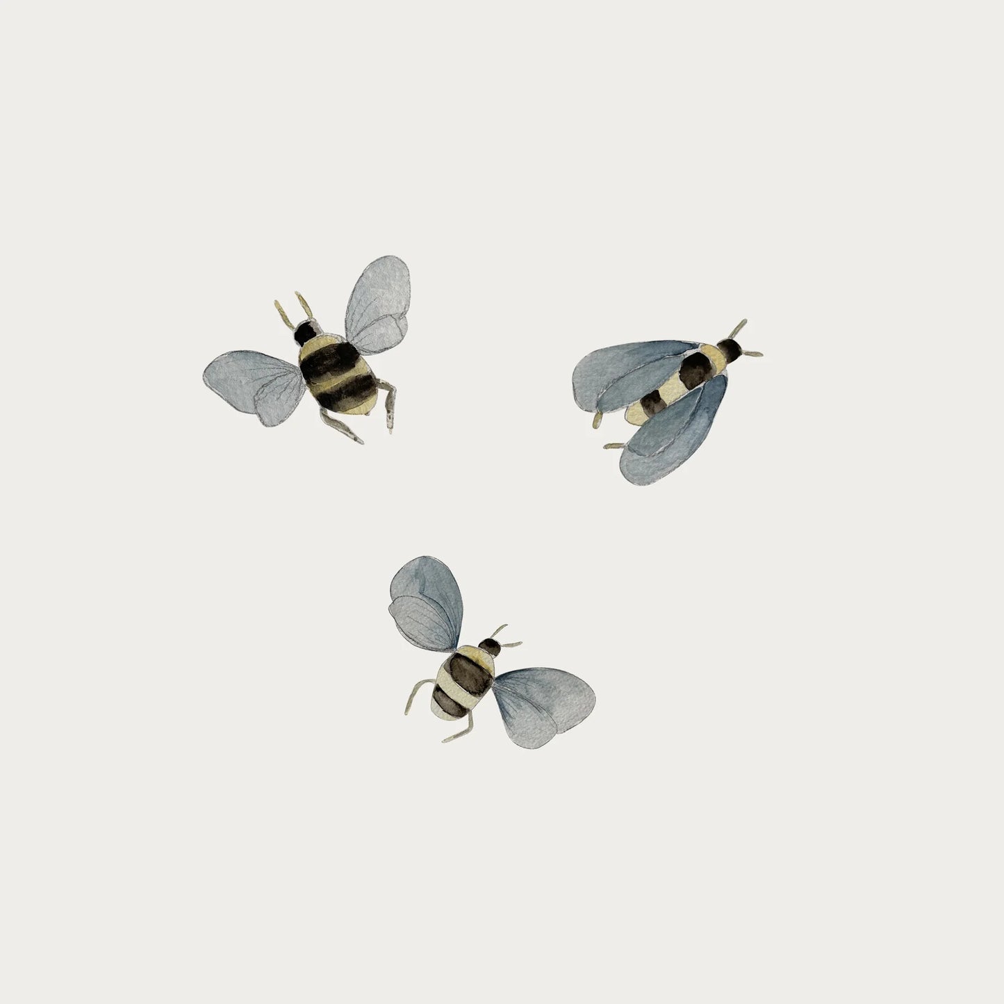 Atlas & August - Wallstickers - Bi