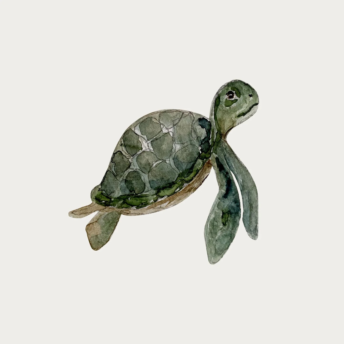 Atlas & August - Wallsticker - Havskildpadde 2